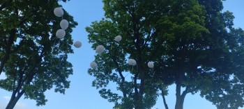 IMG_20250527_182939211
