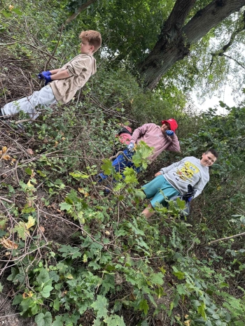 9e43d26c-857e-4e97-88be-51db2f1663e4