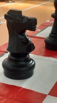 20251002_113444