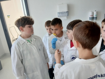 1c1a9f3b-b473-4d45-9e6e-3adcb837ff8b