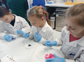 8e11aef8-46d0-47e6-8bef-99dae489763e