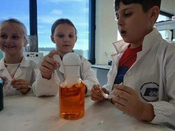 9c17388f-47cd-482d-9c90-8d719d779ba1