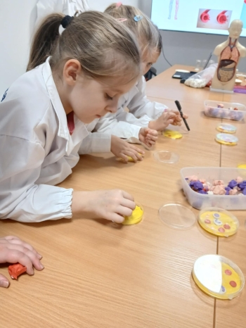 49ee52cf-95b6-4d5d-8761-7b109d2d6f7a