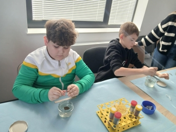 a733fa87-d15d-409a-bfed-399d51fbe801