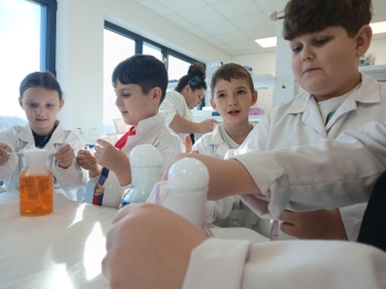 d73b6e88-3c4b-4957-b2d0-683fbc19fcfc