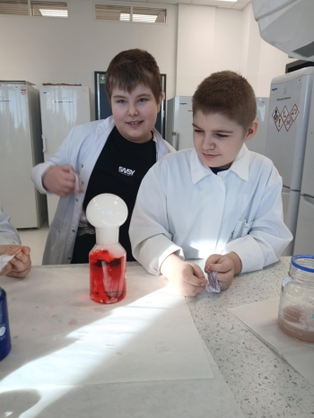 d873a5f8-ee73-4ca4-9fba-138e641a41b2