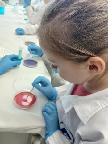 ddc3dbc1-fdb7-40ba-89af-4aa5fc3ba624