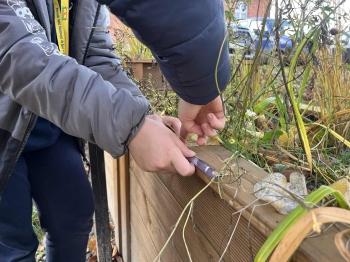 1fea517c-fb13-41c2-986e-099febb6c9e1