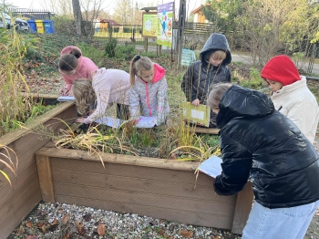 f35d6eff-080b-4888-a771-a2882c3f1e1c