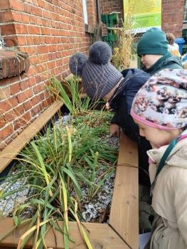 IMG_20251121_112149268_HDR