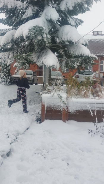 ebec08f7-f0dc-4293-94c2-fd952cd05f9c