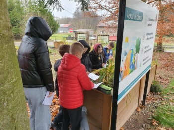 ae8acbfa-3a05-4071-83e0-d96d767df4a3.jfif