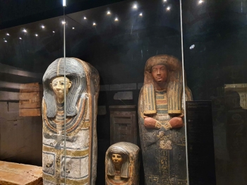 6351d891-3ffb-4a87-bd1e-d0031c9fb79e