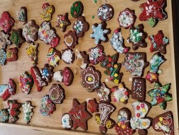 IMG_20251216_103717915