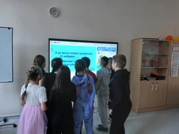 bb86ec3c-74d3-45ab-9586-c7eb14a8a308.jfif