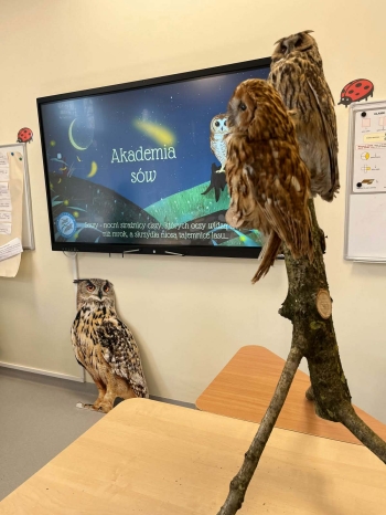 7bc553ab-135b-4e80-b5a5-3feb8b92ae0a