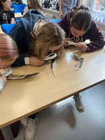 0a6c6a0e-54b0-456b-870b-42f2455cb187