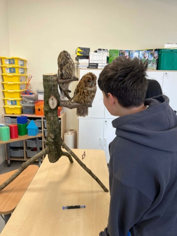 389af2f3-1e9e-4346-aef4-b72710e14d25