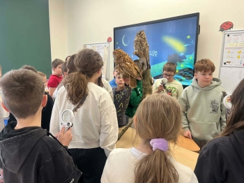 5ec8da95-ce53-43b0-8f46-997863f995e7