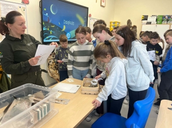 97ff8b21-2230-4c13-91d2-62153844882d