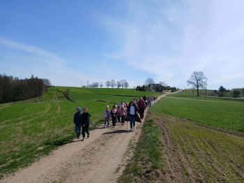 23483416-8e2b-4e87-a8fc-fae6cc31a1f4