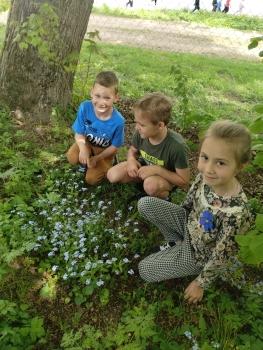 IMG_20260515_112441161