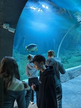 IMG_20260521_152928098_HDR