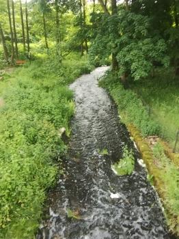IMG_20260612_085233457