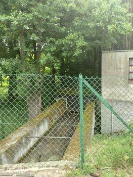 IMG_20260612_085140501_HDR