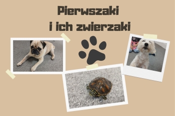 Brązowa Rustykalna Organiczna Produkt Zwierzęta Domowe Owalna Naklejka – ilustracja