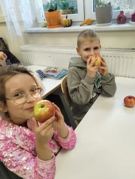 IMG_20260928_084853832