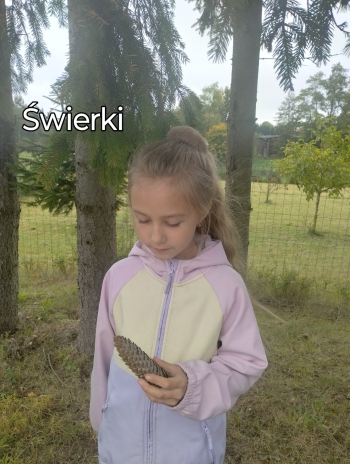 IMG_20261013_121403074_HDR~2