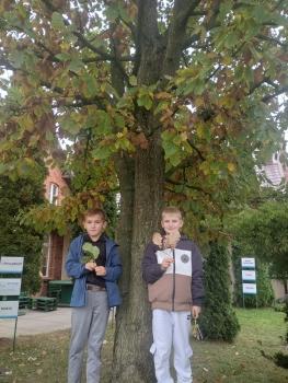 IMG_20261013_122227301_HDR