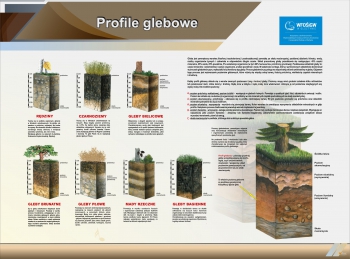 TE5-02 - Tablica edukacyjna Profile glebowe ok (2)