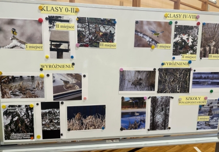 ZIMOWI TWARDZIELE W OBIEKTYWIE  PODSUMOWANIE KONKURSU FOTOGRAFICZNEGO