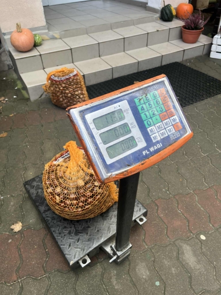 Zakończenie zbiórki kasztanów