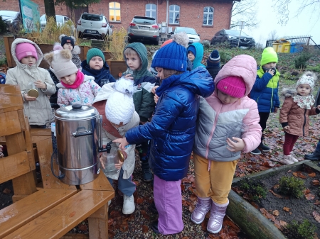 Ogród deszczowy - jak ważną rolę spełnia WODA