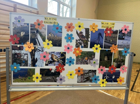 V Powiatowy Konkurs Plastyczno-Fotograficzny ,,Skrzydlaci przyjaciele w mojej miejscowości